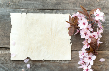 Spring blossom witth papr sheet on wood background