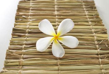 frangipani flowers on woven wicker mat