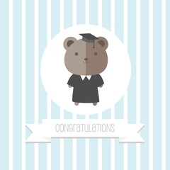 Graduated Bear