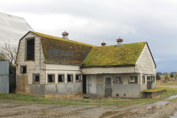 Abandoned milk house and dairy barn