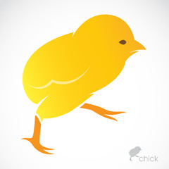 Vector image of an chick