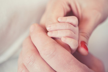 Hand a newborn in the hands of parents