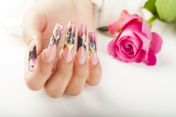 Human hand with the beautiful fingernail