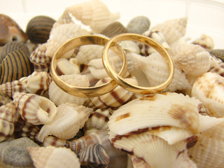 alliance mariage coquillage