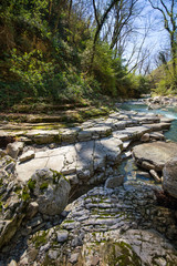 The mountain river with waterfall
