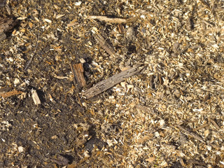 Ground Texture