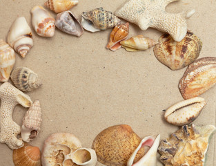 Fototapeta na wymiar frame made ​​of shells