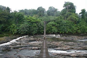 Mana River Suspension Bridge