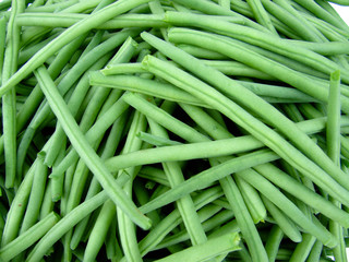 haricot vert