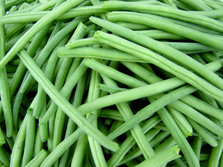 haricot vert