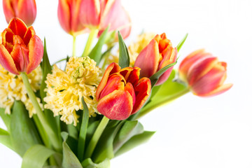 Bouquet of yellow hyacinths and red tulips