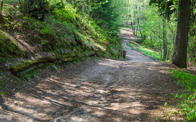 Footpath in a summer park
