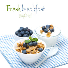 muesli, fresh blueberries and homemade yogurt, isolated