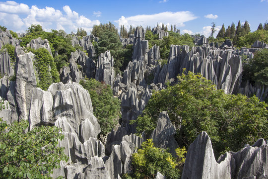 Fototapeta Stone forest national park in Yunnan province