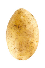 Fresh potato