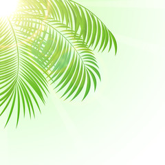 Fototapeta na wymiar Palm on Sun background