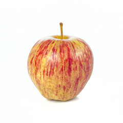 The apple