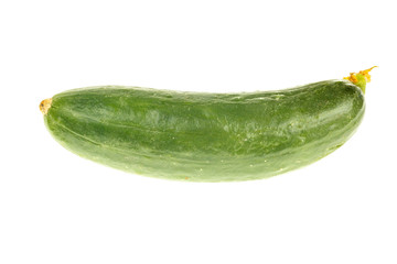 Ripe small cucumber