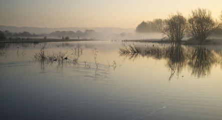 Naklejka premium Landscape of lake in mist with sun glow at sunrise