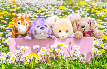 Box full of puppets on a beautiful flowered meadow
