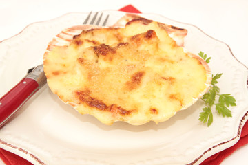 coquille saint-jacques