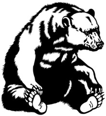 bear black white