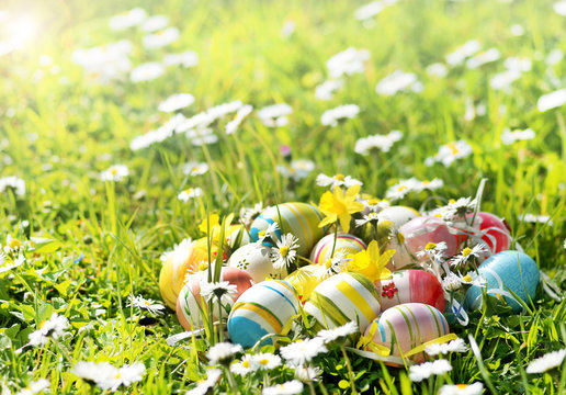 Ostereier auf Blumenwiese