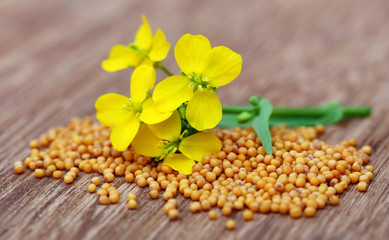 Mustard flowers with seeds