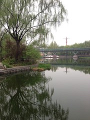 Fototapeta na wymiar spring landscape in the park - china