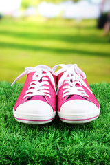 Beautiful gumshoes on green grass, on bright background