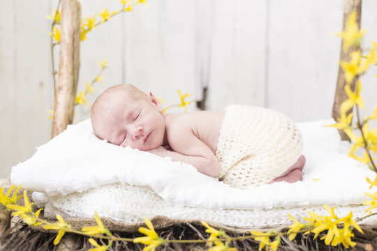 Newborn Baby schlafend in einem Bett mit Frühjahrsdeko