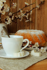 Coffee cup,cake and flowering branch of apricot .
