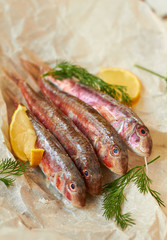 Fresh red mullet