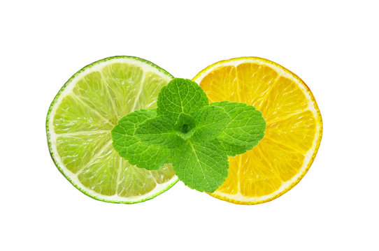 Lemon and lime slices and mint herb isolated on white