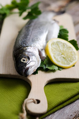 Forelle, Regenbogenforelle