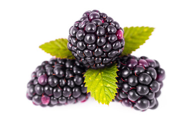 blackberries