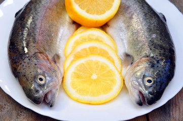 two fresh trout and lemon