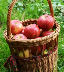 Korb mit frischen Äpfeln