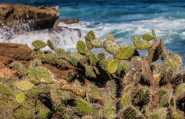 The North Coast of Curacao