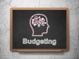 Finance concept: Head With Finance Symbol and Budgeting on