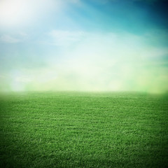 Fototapeta na wymiar Grass field in sunlight