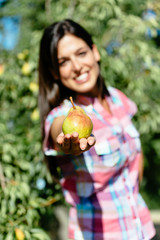 Female farmer harvesting pear fruit