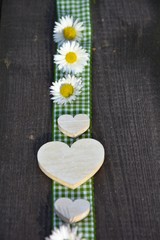 Karoband mit Gänseblümchen