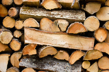 Firewood