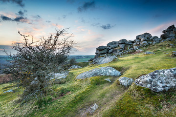 Windswept Tor © Helen Hotson