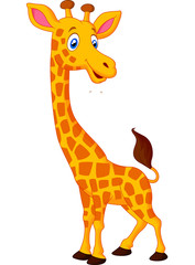 Fototapeta premium Happy giraffe cartoon