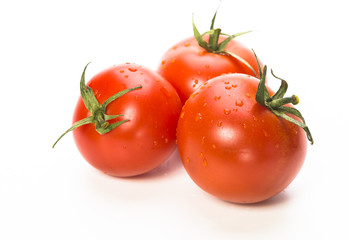 Помидор, tomato