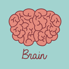 Brain design