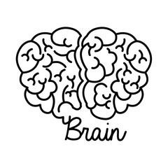 Brain design