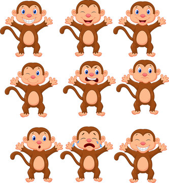 Cute monkeys in various expression